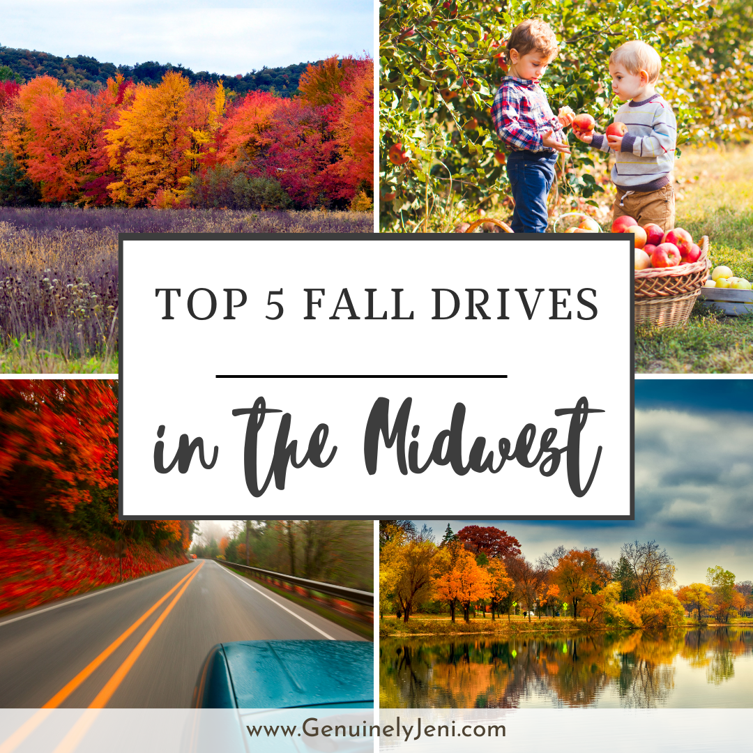 Top 5 Fall Drives in the Midwest